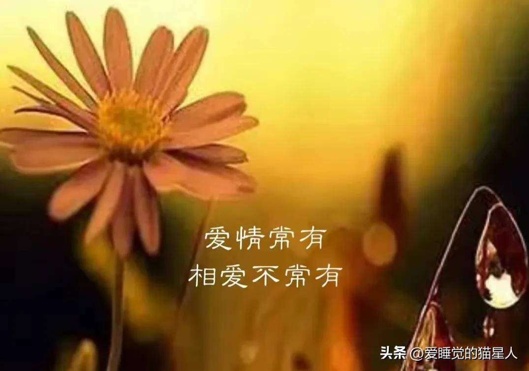 真正爱上一个人是从怕失去开始的,我不会爱上任何人因为我害怕失去