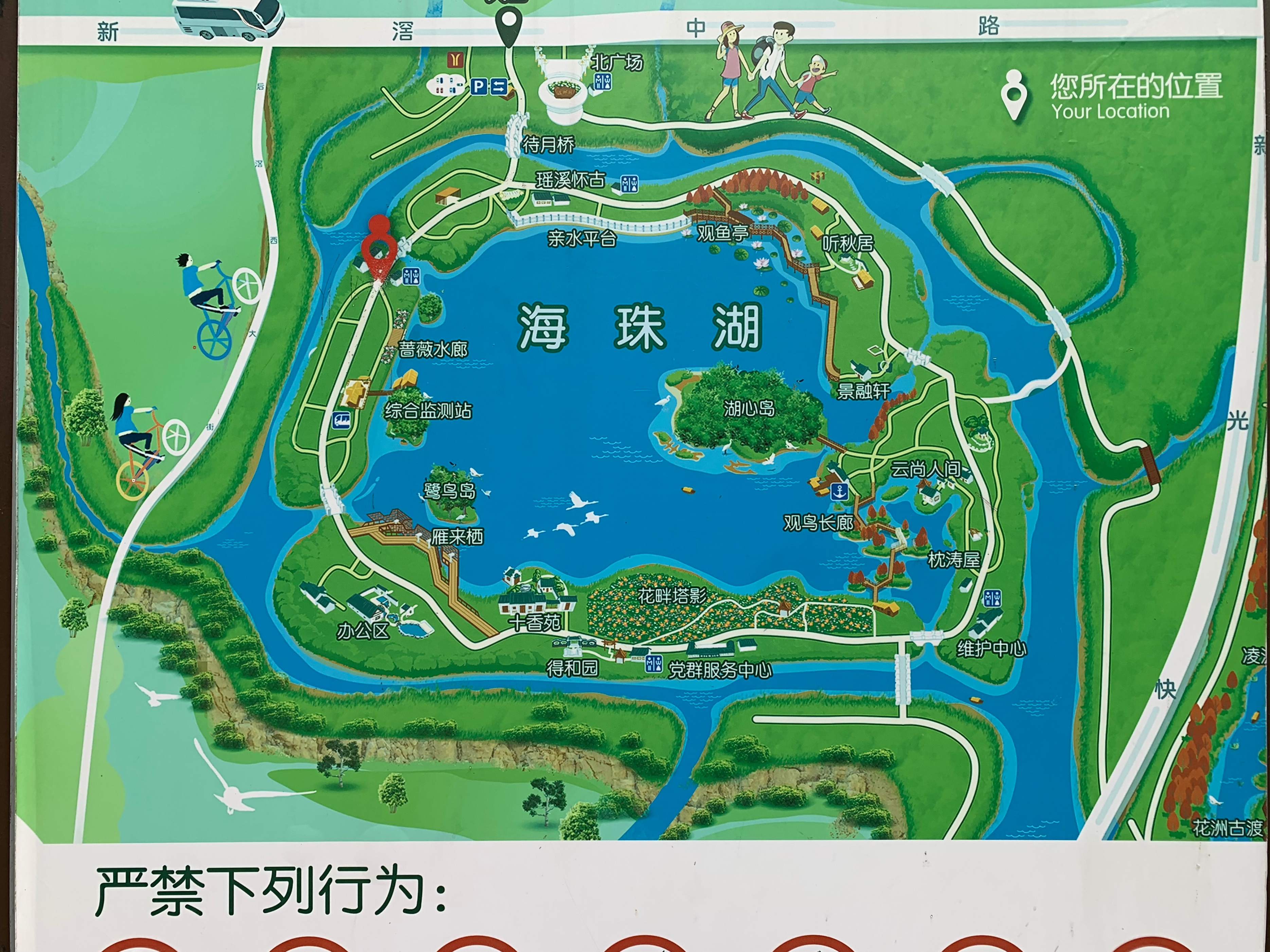 2022海珠湖公园春节游玩,海珠湖湿地公园最佳游玩时间