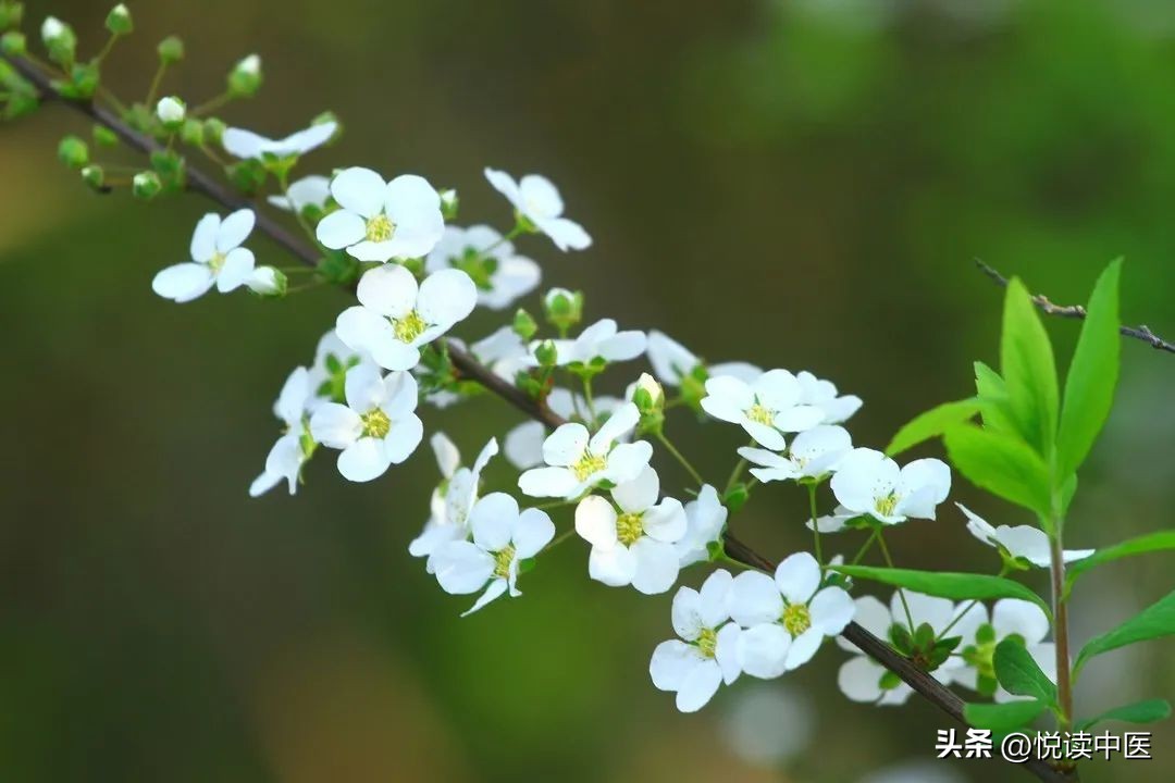 治牙痛有好方法吗,治牙痛立竿见影的中药方