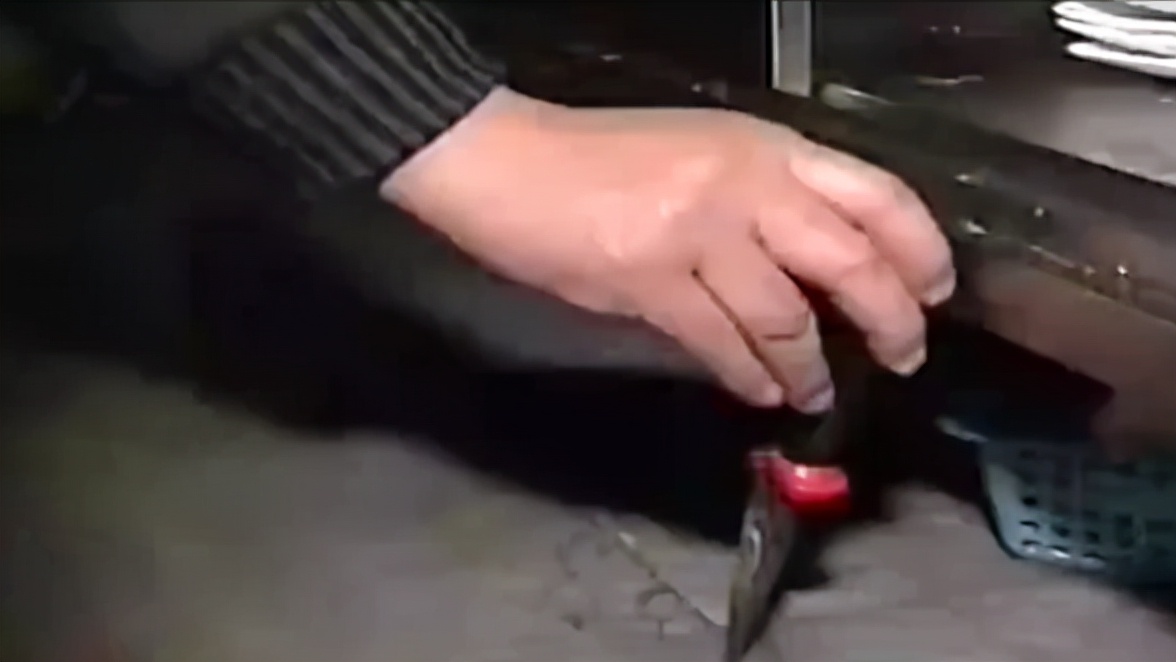 鼠王被抓叫来老鼠报复咬人,老鼠爬到床上为什么还会咬人