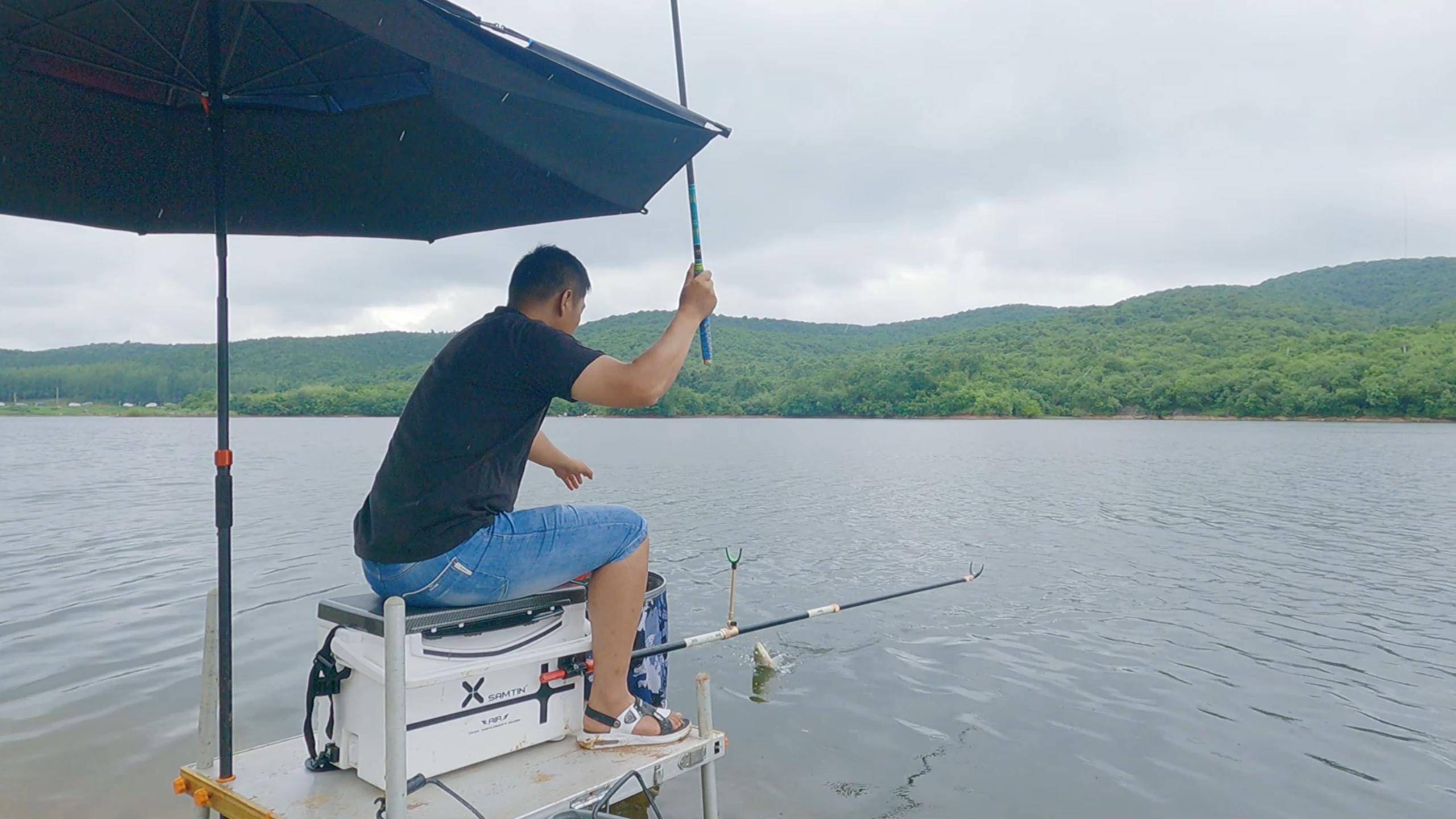 鱼儿无缘无故死掉是怎么回事,鱼停口不上钩怎么办