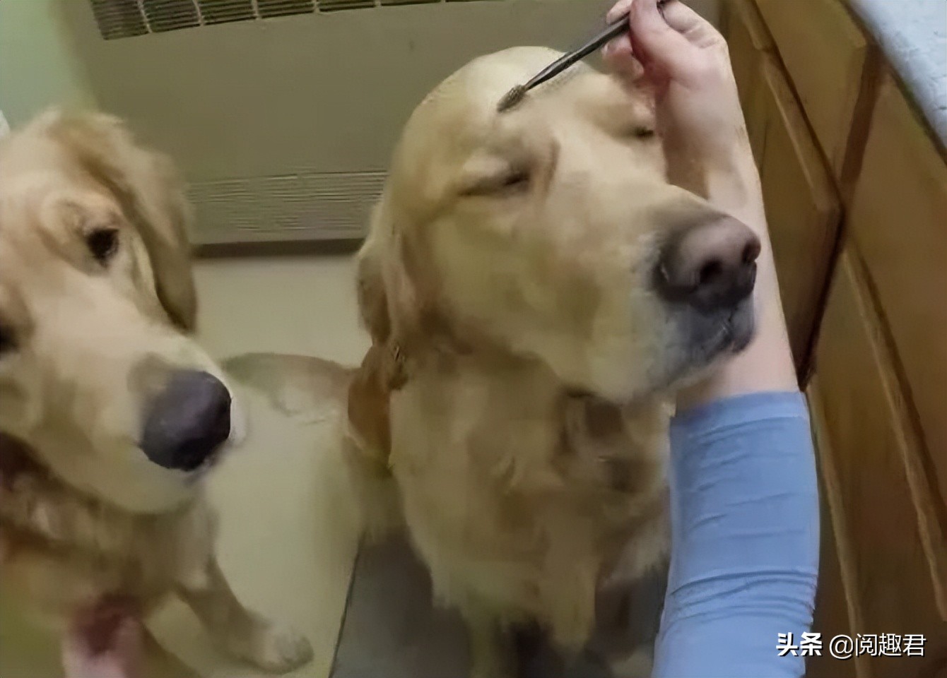 上班时间规定的笑话,笑话一年只休息一天还不让请假