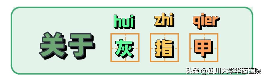 得了灰指甲是指甲变灰吗,灰指甲增厚变黑是灰指甲吗