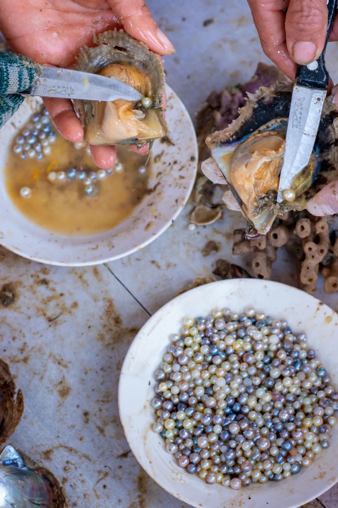 广西第一滩海鲜,广西海鲜第一大城