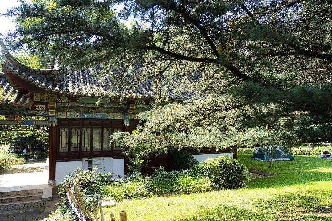 昆明昙华寺公园免费吗,乐享云南