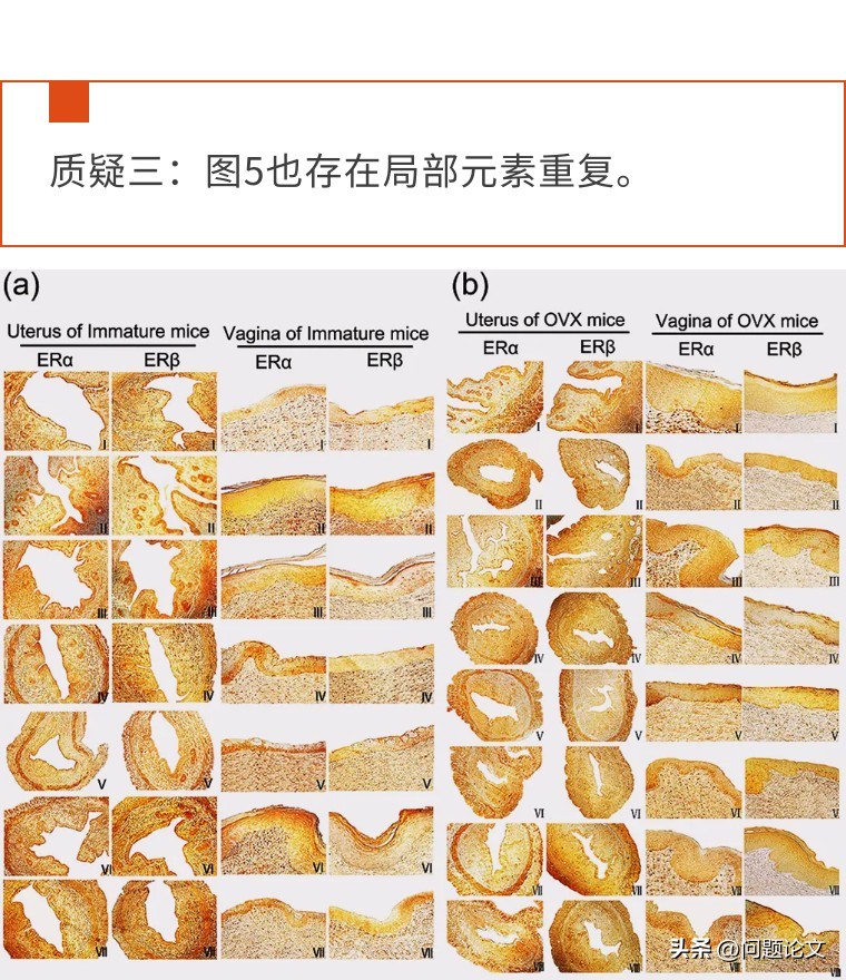 医生学术论文作假严重吗,国外承认中医论文造假事件