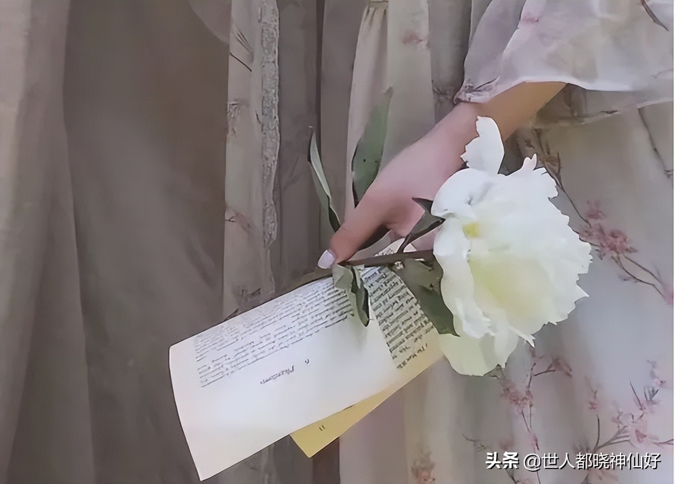 笑过后深思,笑过之后你懂得了什么