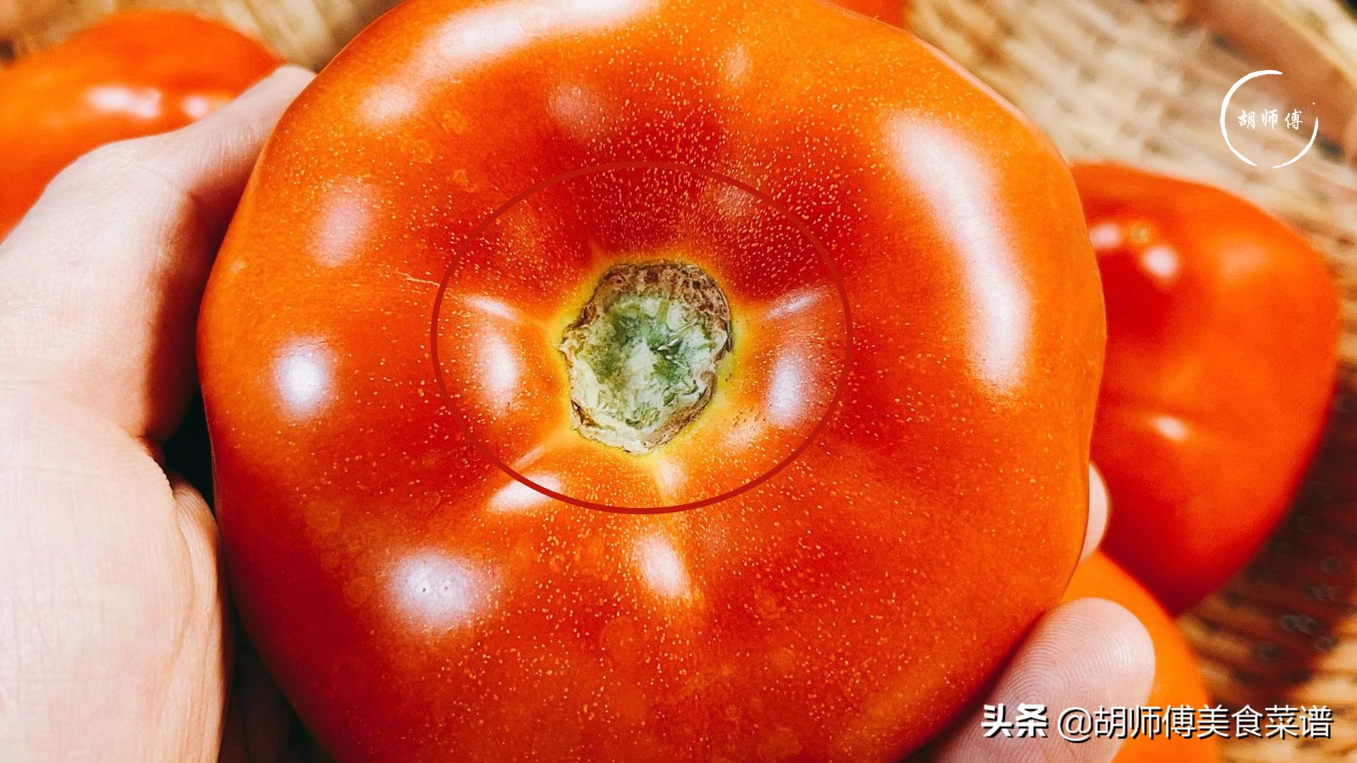 打了激素的番茄如何辨别？老菜农：看这3个部位，一眼就能看出来