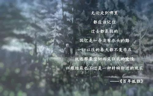 百年孤独奥雷里亚诺上校有隐喻吗,百年孤独中奥雷里亚诺