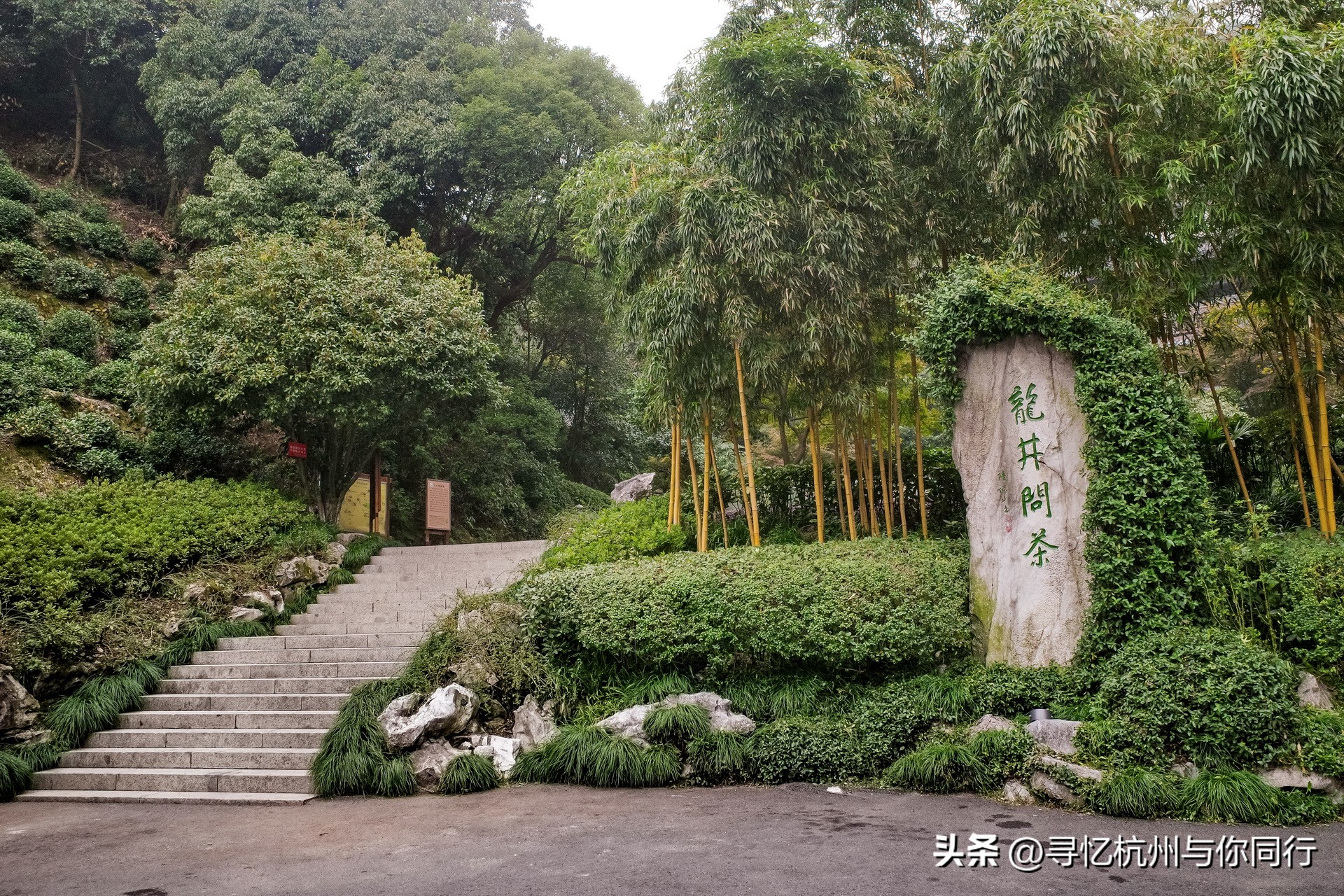 杭州三大景观古建筑,杭州三大名茶