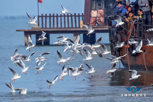 @所有人，三城年卡史上最低价！单人、亲子、家庭通通都有