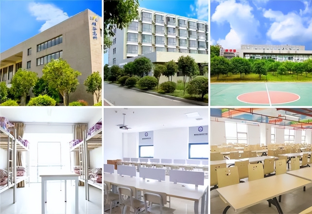 为什么it行业都要培训,为什么it行业最近难找工作