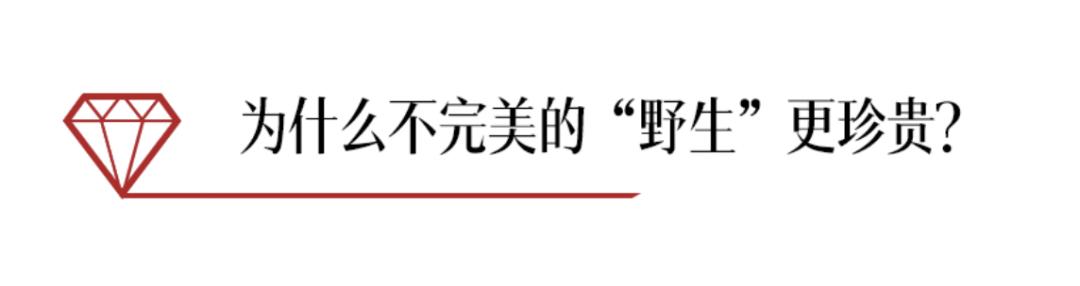珍珠大家族“人才辈出”!哪一颗最适配你的春装Look?