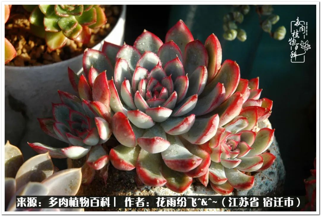 回味童年无忧无虑的快乐时光,童年最快乐的时光