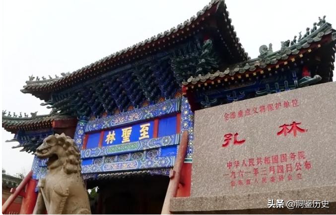 孔子的墓为何被称为孔林,孔子真正的墓穴在哪里