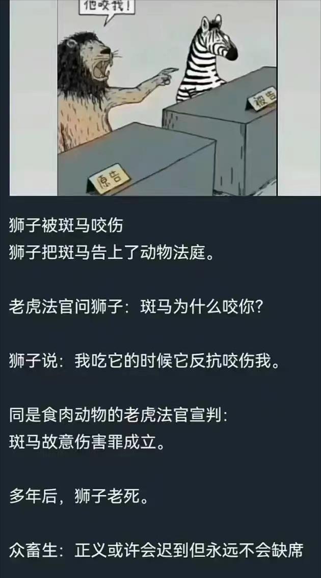 自己面对专业选择很迷茫,选专业要理想还是要现实