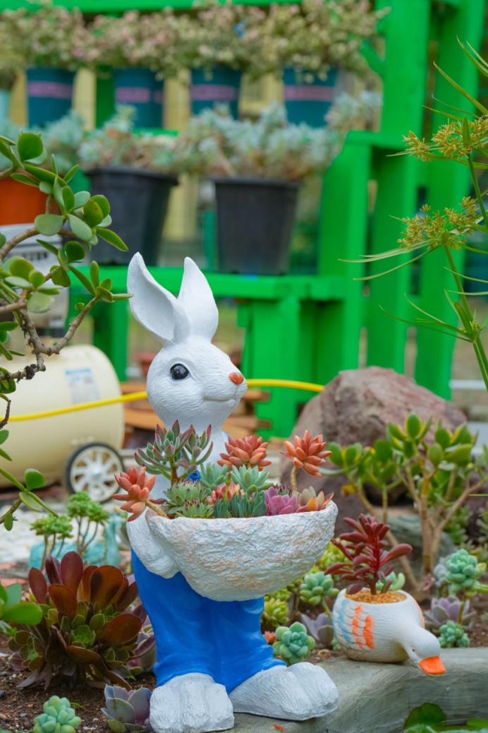 成都最新的花市,成都花市人气旺