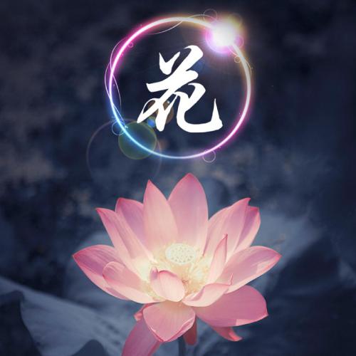 姓氏荷花头像图片大全,荷花姓氏头像图片大全