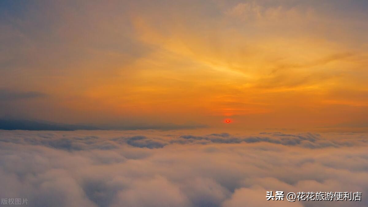 中国杨梅之乡浙江丈亭,中国杨梅之乡三洲