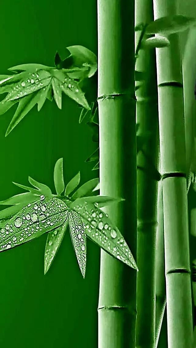 咏竹草古诗二十六首,咏竹原创诗词图片