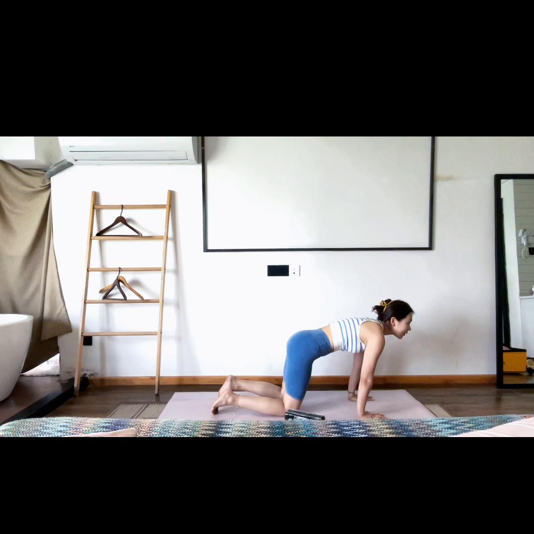 胳膊没劲儿，四柱做不到，教你一个退阶练习方法#瑜伽硕士