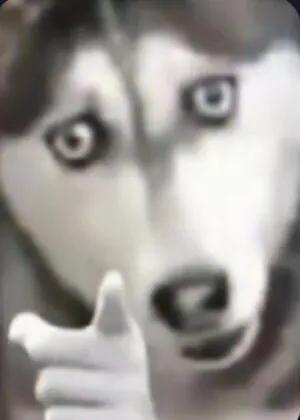 加了心仪女孩子的微信，第一句不知道怎么说？来看看别人怎么说的