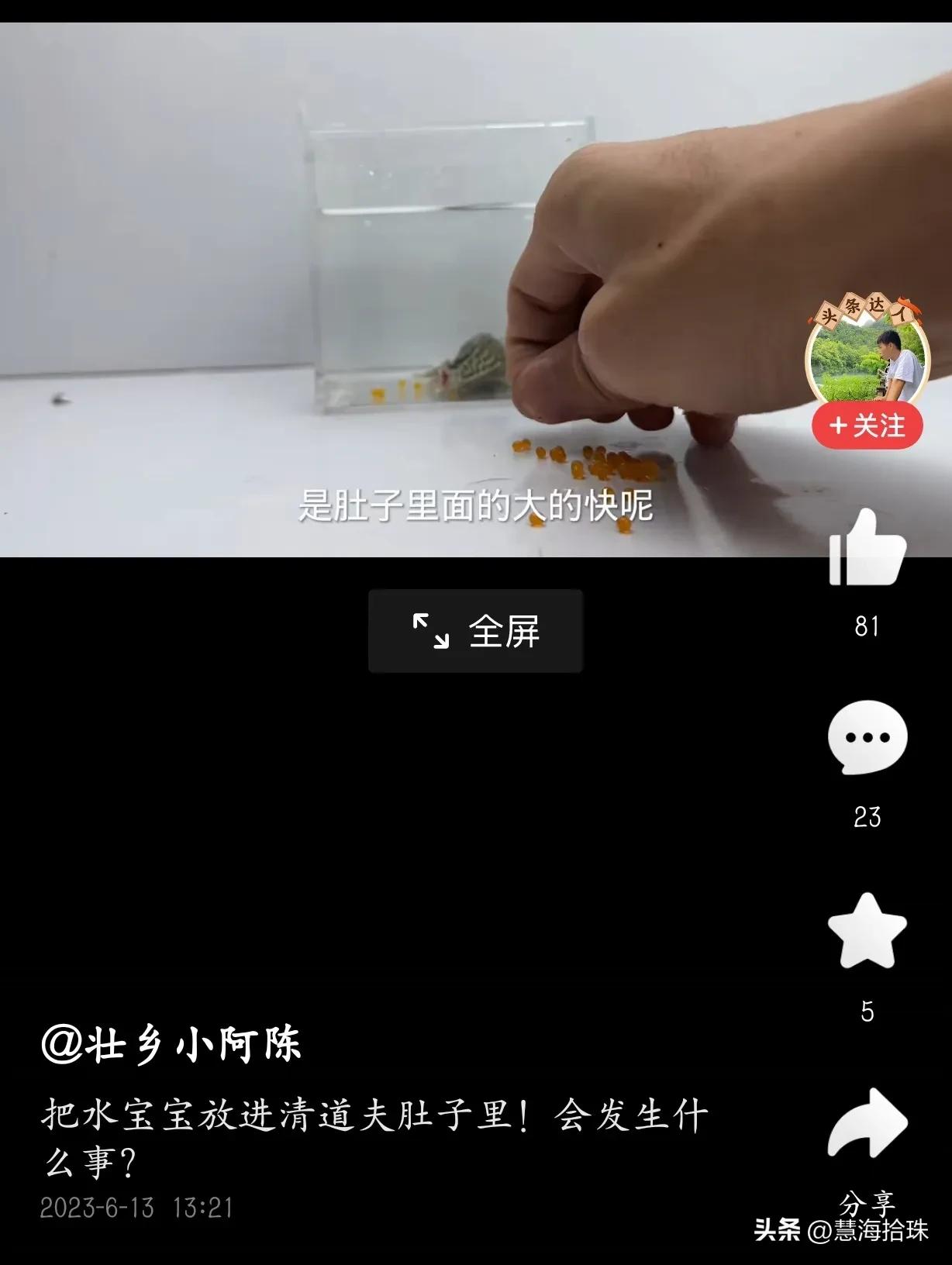 为什么有些人喜欢杀动物,为什么有人会虐猫或虐狗