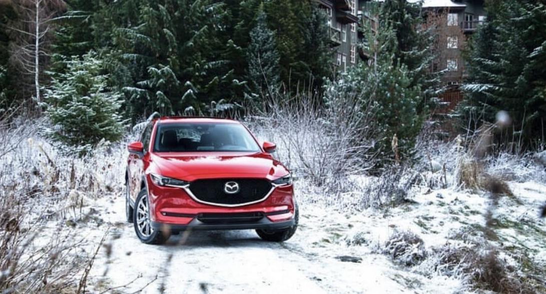 哪些基本款汽车是男生的最爱,看看哪个品牌的车子最适合你