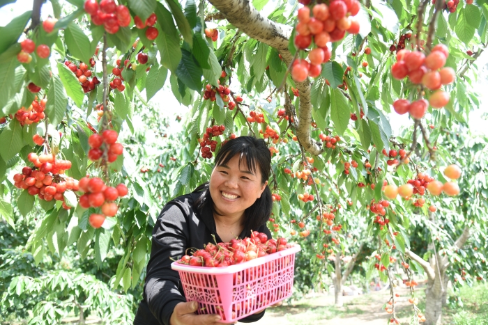 常务副市长作政府工作报告,市政府市长工作报告