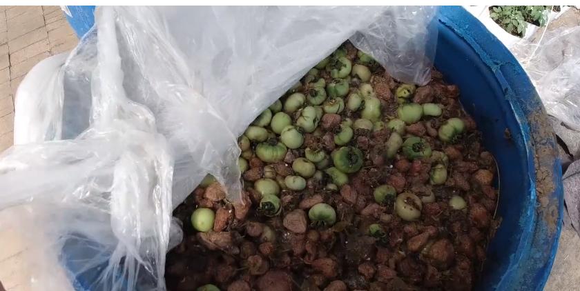 养殖酵素的制作方法和配方,酵素种植的配方和发酵过程