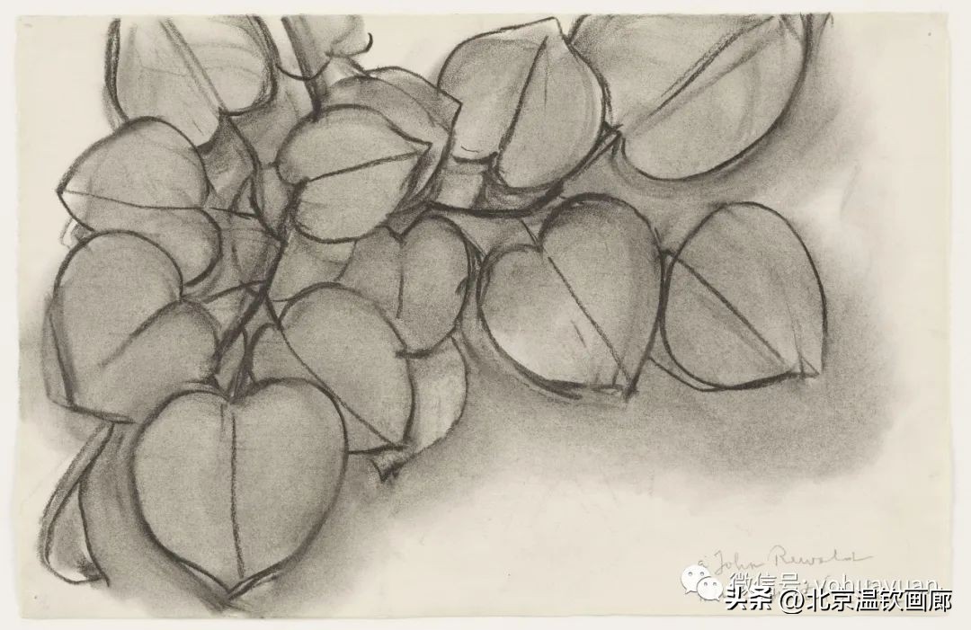 野兽派画家马蒂斯的艺术风格,现代艺术野兽派马蒂斯作品