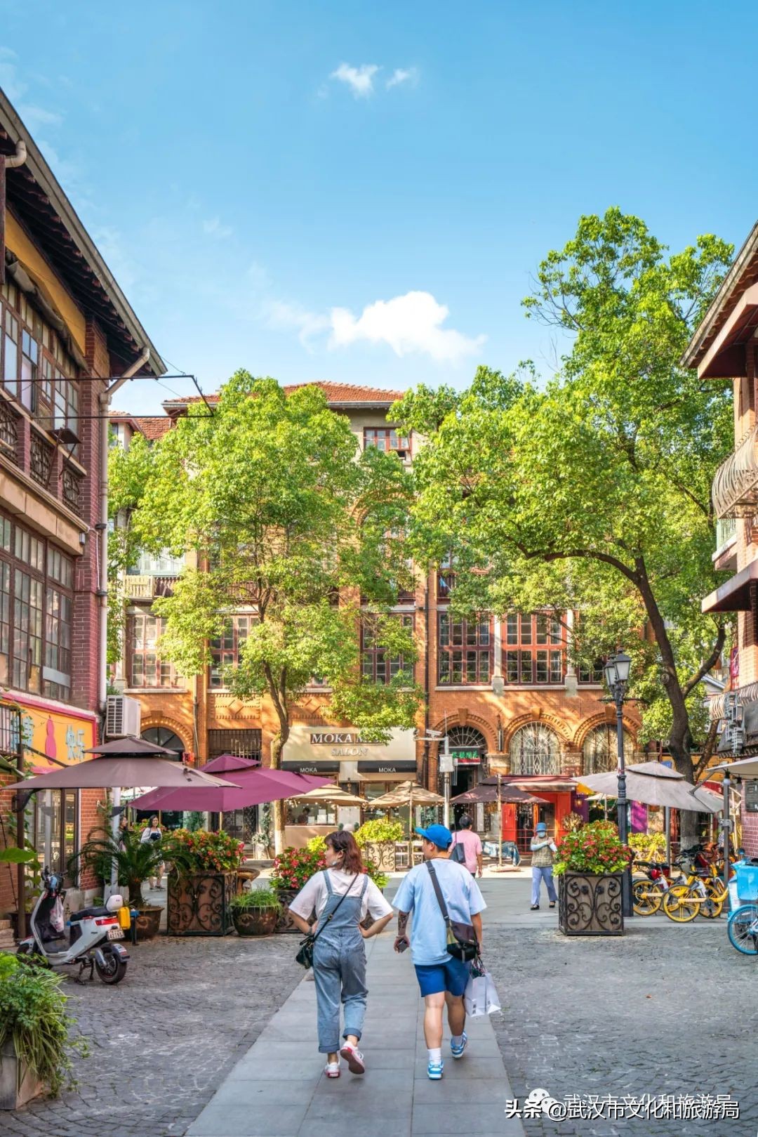 武汉不花钱看樱花地点,来武汉一定要看两坝一峡登黄鹤楼