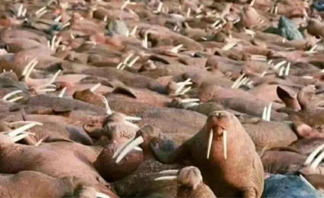 从期待到失望的搞笑表情包,假期结束努力搬砖了的表情包