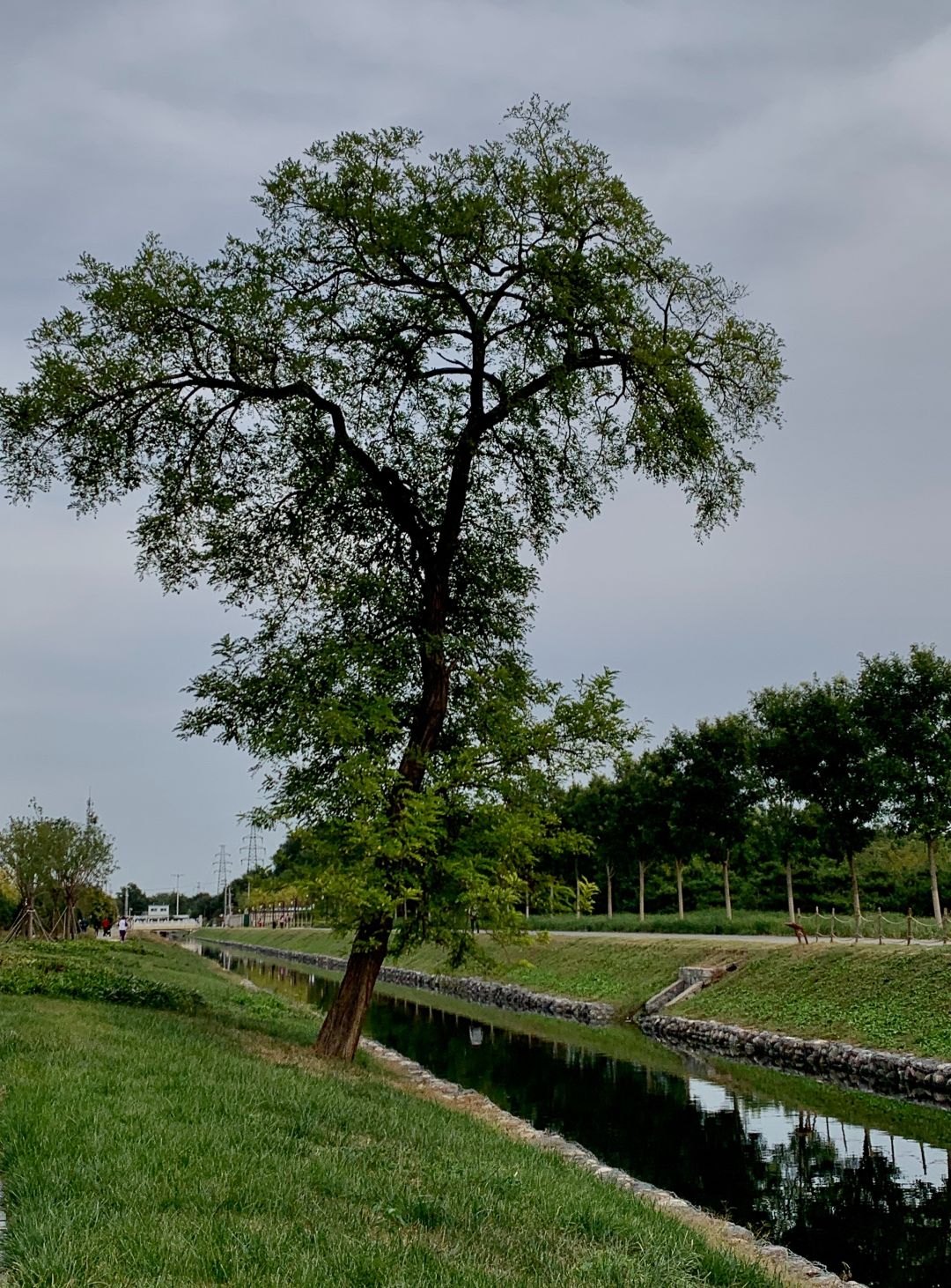 2022年这些瞬间温暖了我们,2022年的一切回顾