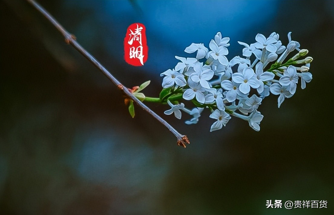 清明节上坟时间有什么讲究和忌讳,清明三节相连上坟有啥讲究