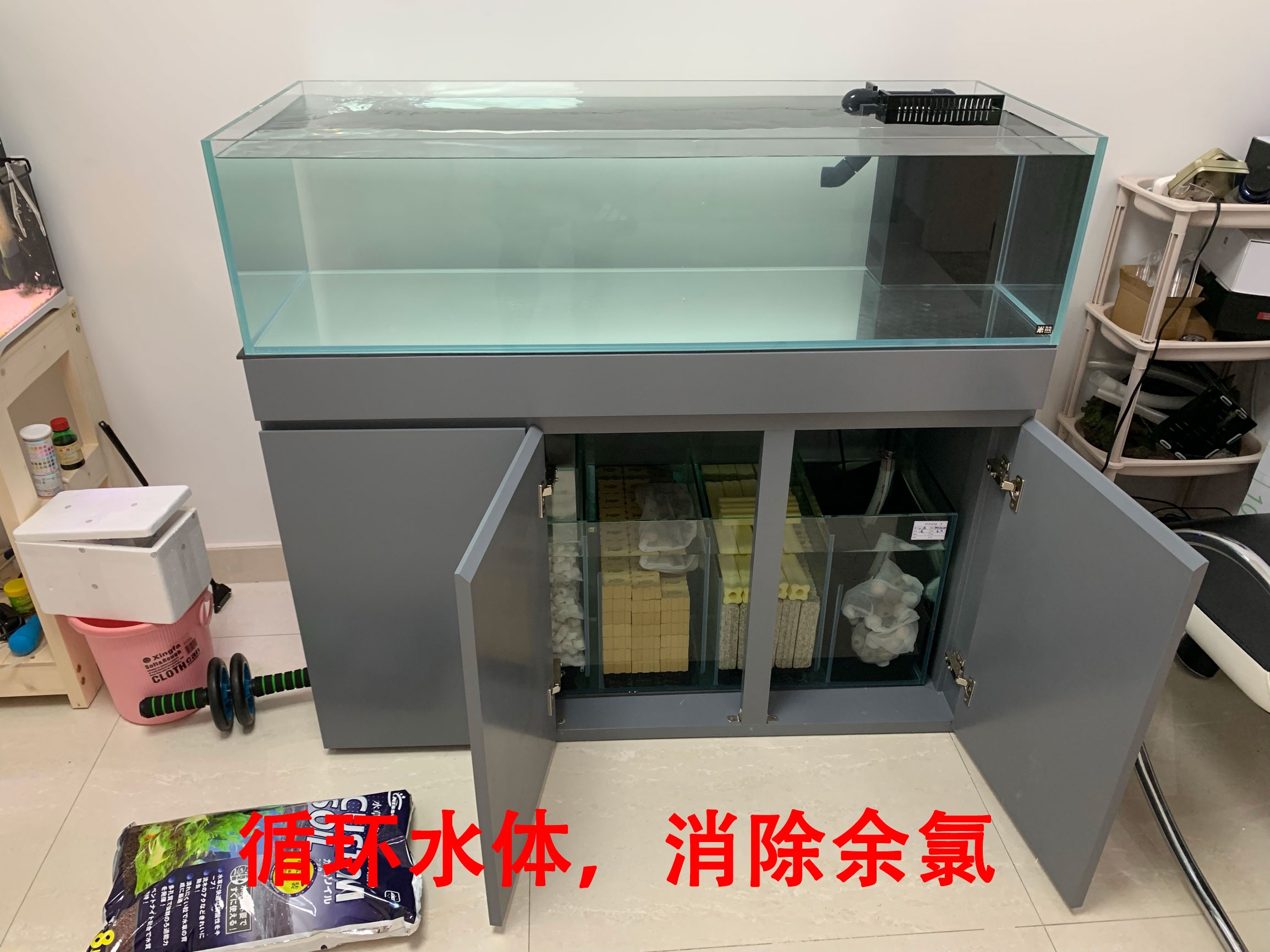 养鱼一定要开缸吗,新手养鱼开缸教程合集