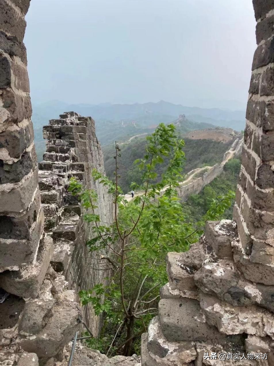 我从小就叛逆,我从小就是一个叛逆的小孩知乎