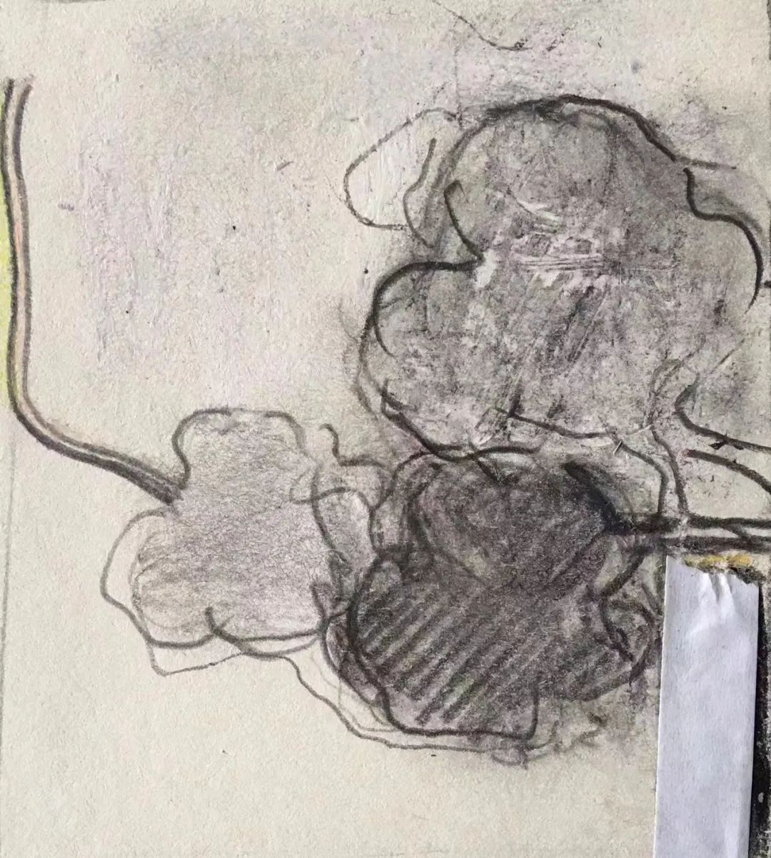 倪军|王凯是个哲学的王凯