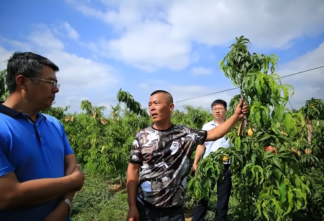 完善政策性农业保险机制,政策性农业保险对农业生产作用