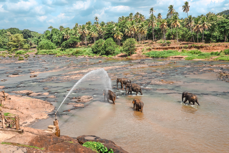 斯里兰卡旅游攻略必去景点,斯里兰卡旅游攻略最佳时间
