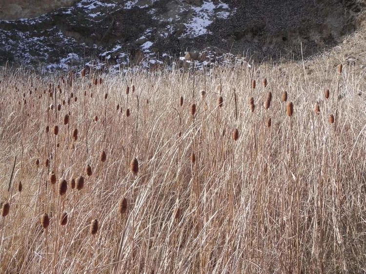 话说天水图文并茂,天水话说天水