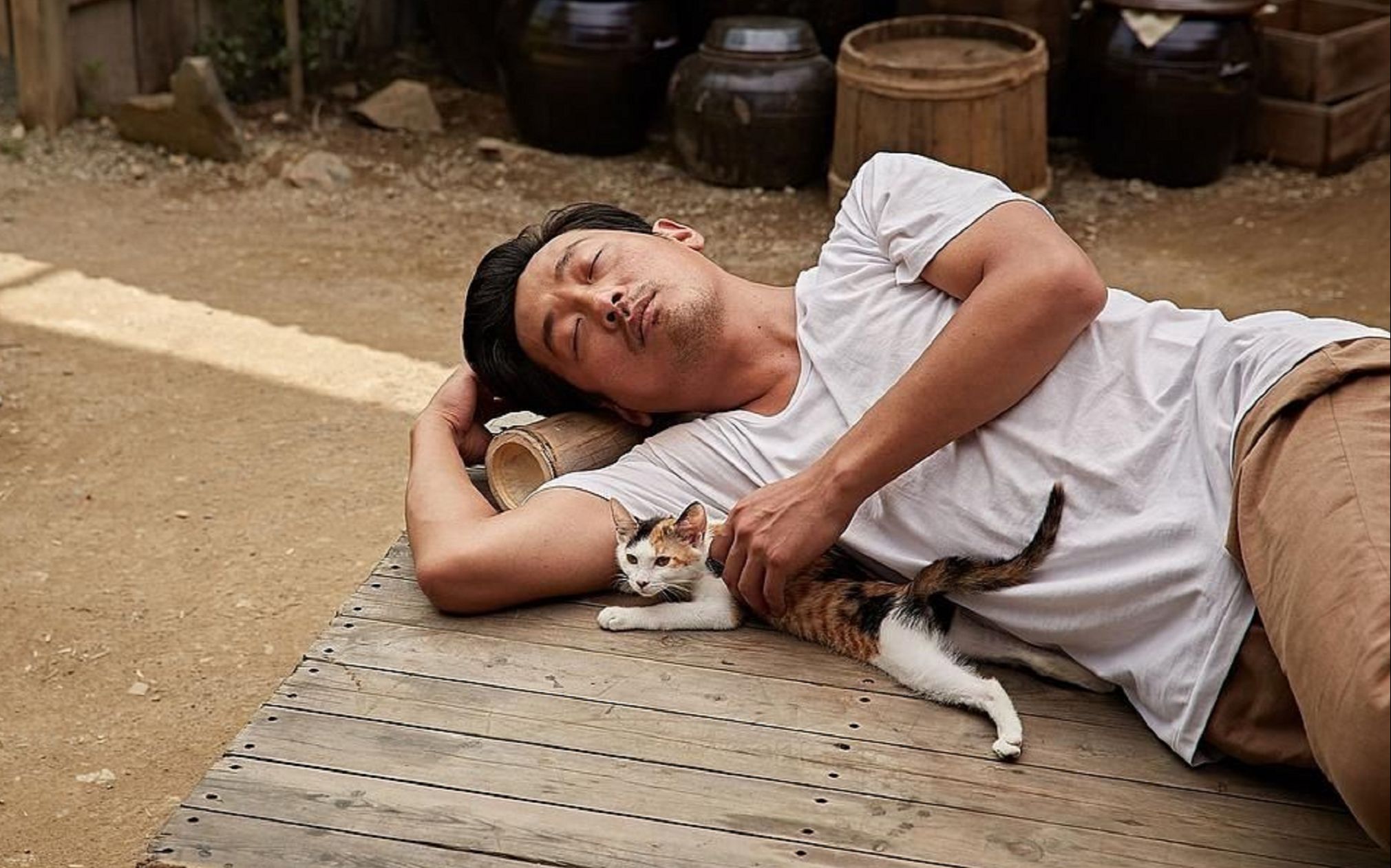 余华的许三观卖血记经典语录,余华许三观卖血记分享感悟