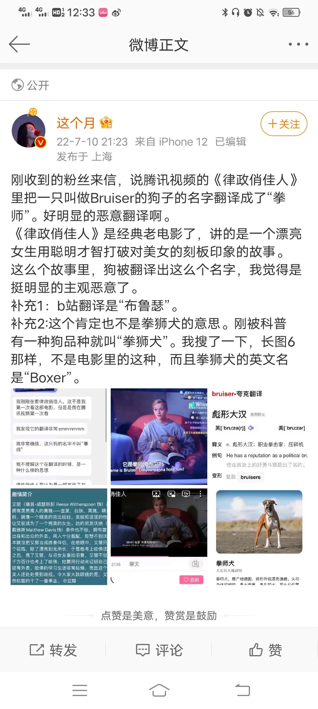 把狗的名字翻译成拳师，字幕组夹带私货内涵女拳还是一场误会？