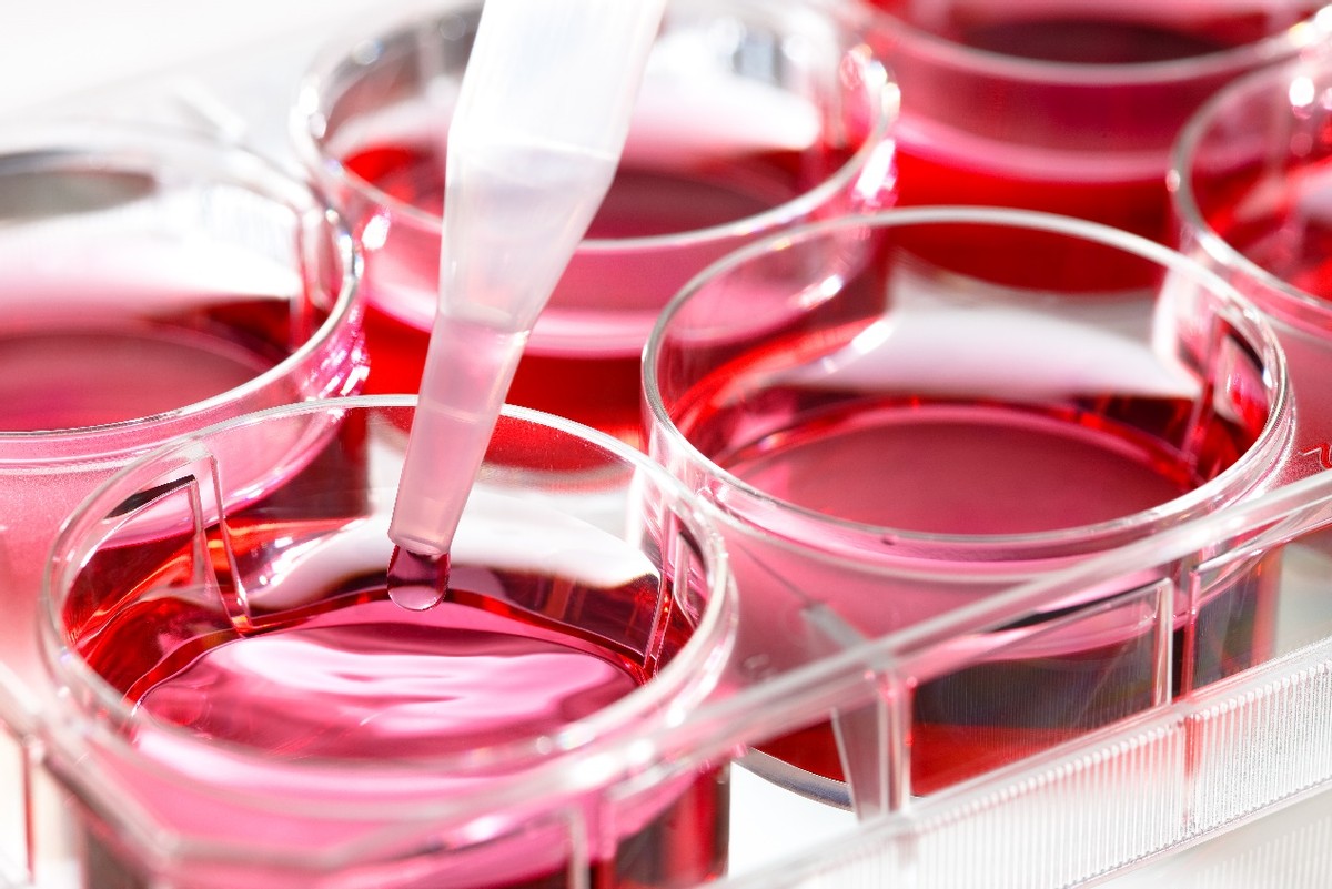 酵素合集100种,酵素个人简介