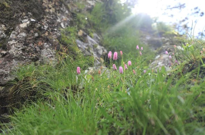 迈开脚步看风景别辜负昆明好风光,带你看云南昆明美景