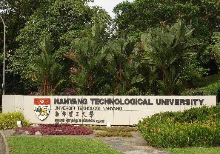 王思聪和聚美优品创始人陈欧,王思聪陈欧创业项目