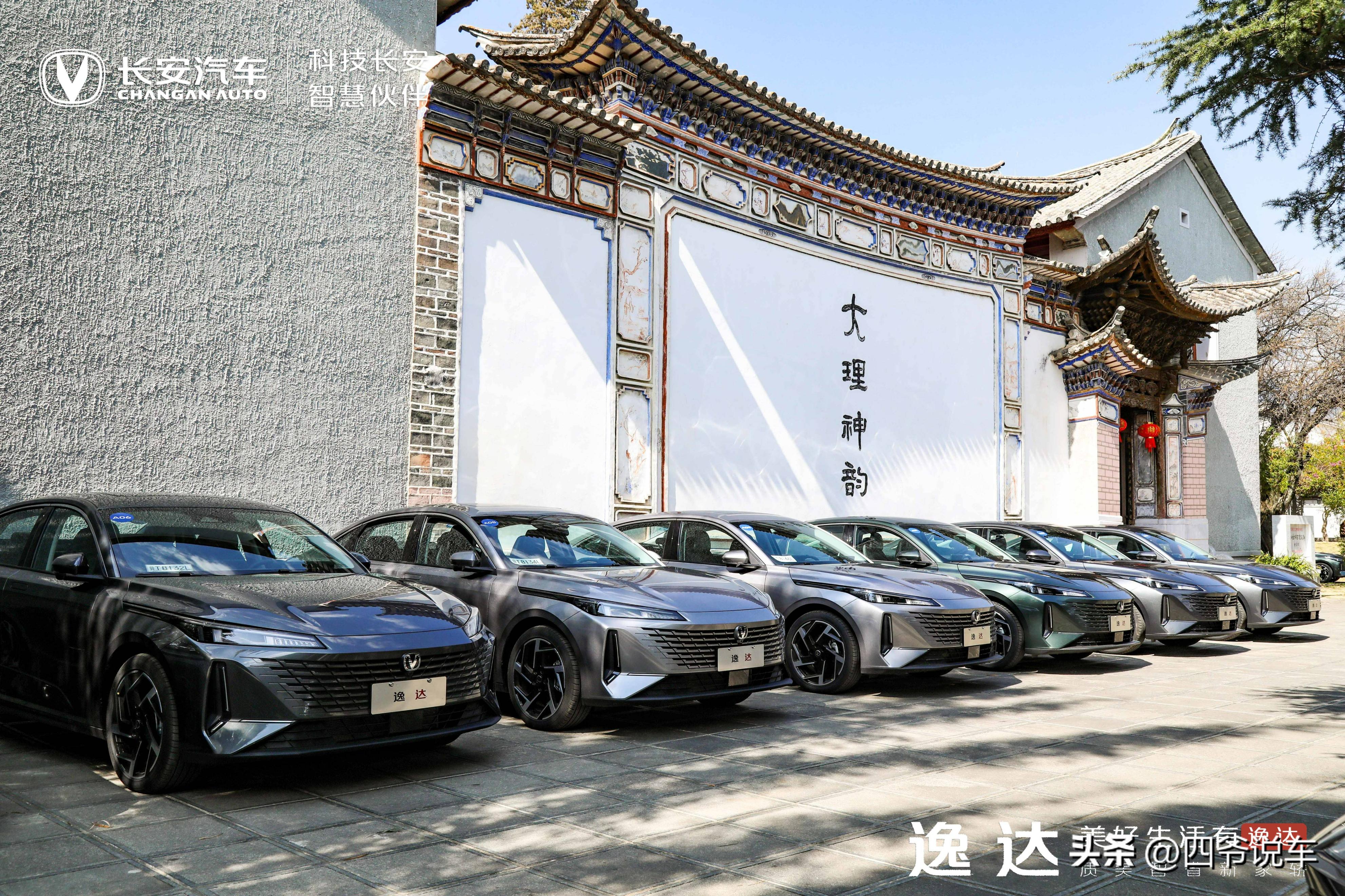 云南大理旅途惊喜,云南大理洱海探店