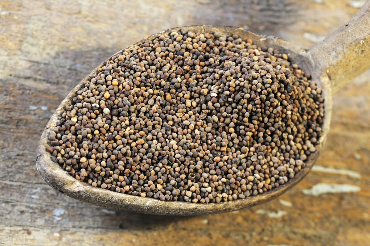 中医养生秘方治疗老年痴呆,治疗健忘记忆力下降的药