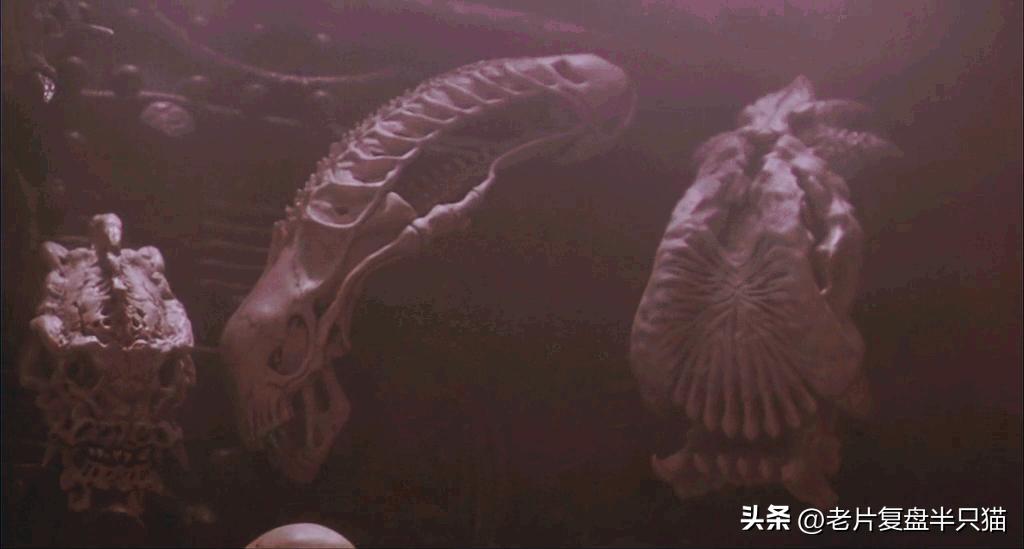 铁血战士铁血异形有多强,铁血战士铁血异形顺序