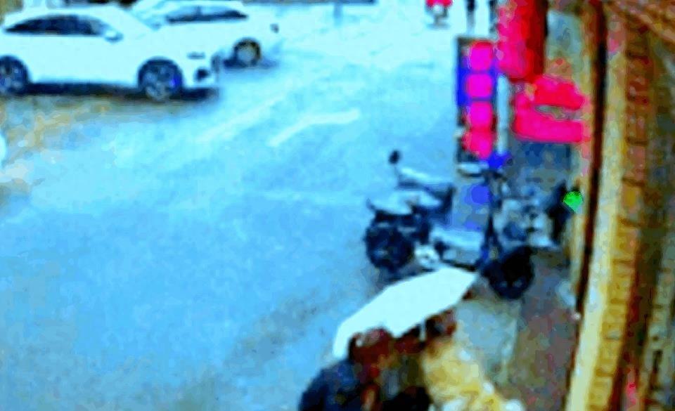 狗咬女人的事件原因,狗咬女孩子事件